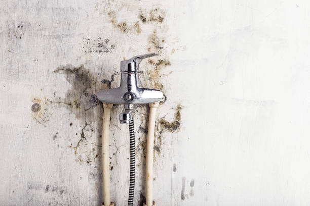 Best Localized Mold Remediation (e.g., coastal areas, humid climates) in Hamburg, NJ