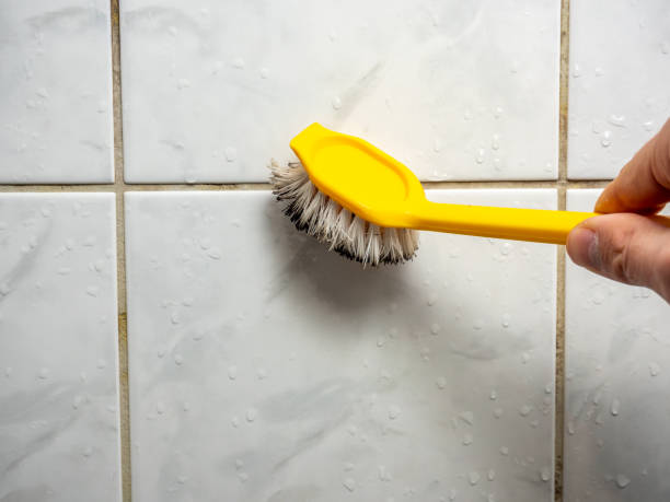 Best Residential Mold Remediation in Hamburg, NJ