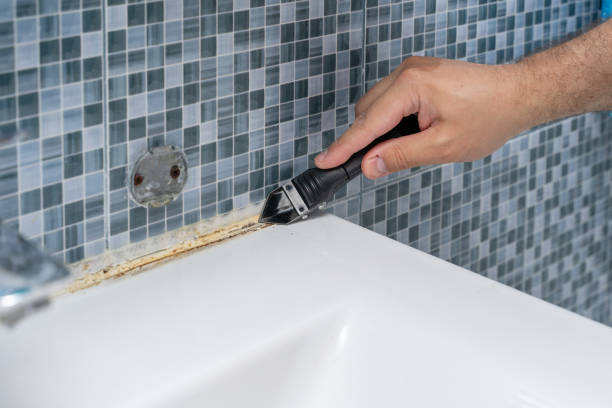 Best Black Mold Remediation in Hamburg, NJ